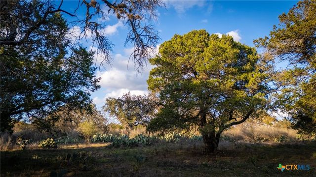 741 Wombat Grove, New Braunfels, TX 78132