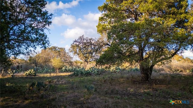 741 Wombat Grove, New Braunfels, TX 78132