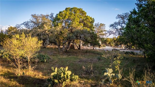741 Wombat Grove, New Braunfels, TX 78132