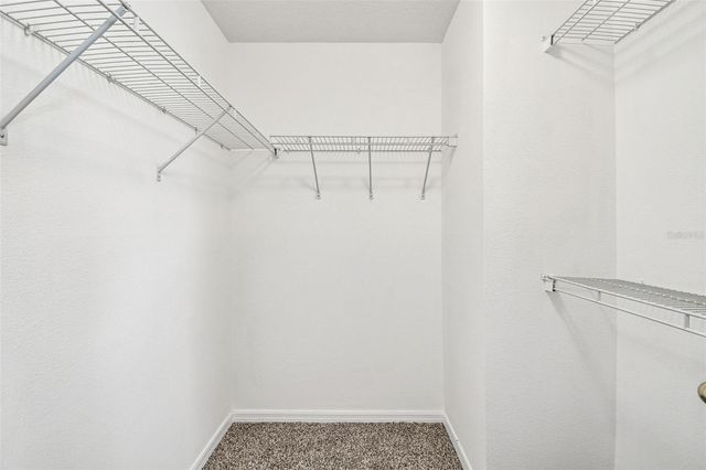 14666 WATER LOCUST DRIVE, Orlando, FL 32828