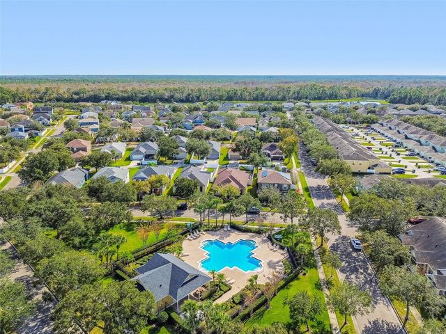 14666 WATER LOCUST DRIVE, Orlando, FL 32828