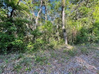 Lot 3 NW 82 COURT, Chiefland, FL 32626