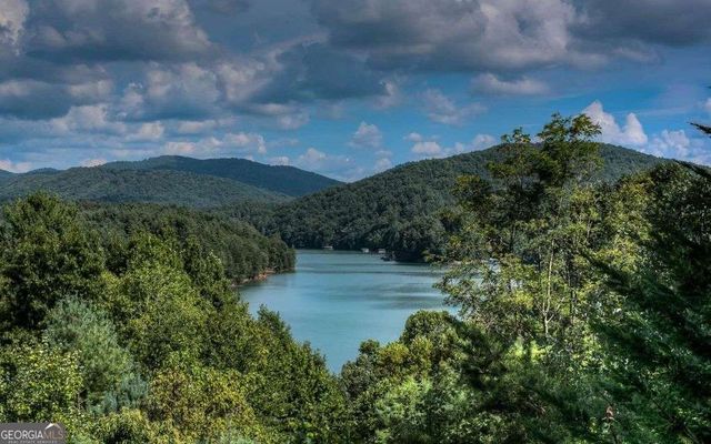 115 Necowa Cove Overlook, Blue Ridge, GA 30513