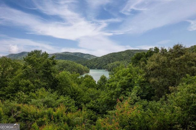 115 Necowa Cove Overlook, Blue Ridge, GA 30513