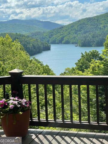 115 Necowa Cove Overlook, Blue Ridge, GA 30513