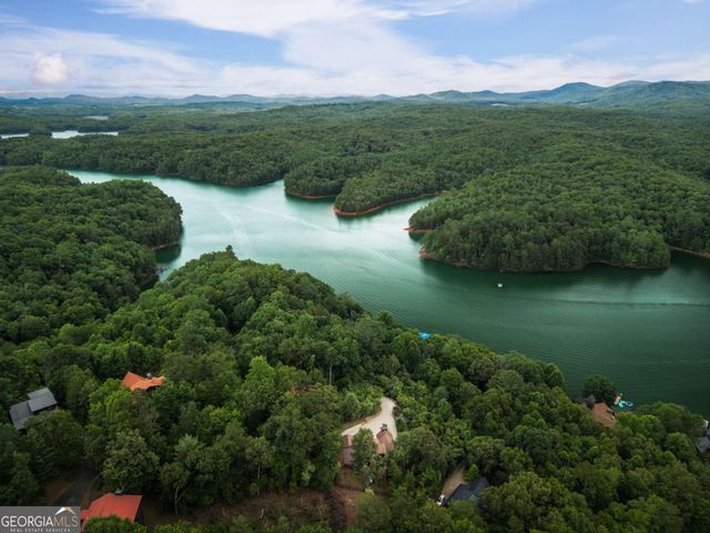 115 Necowa Cove Overlook, Blue Ridge, GA 30513