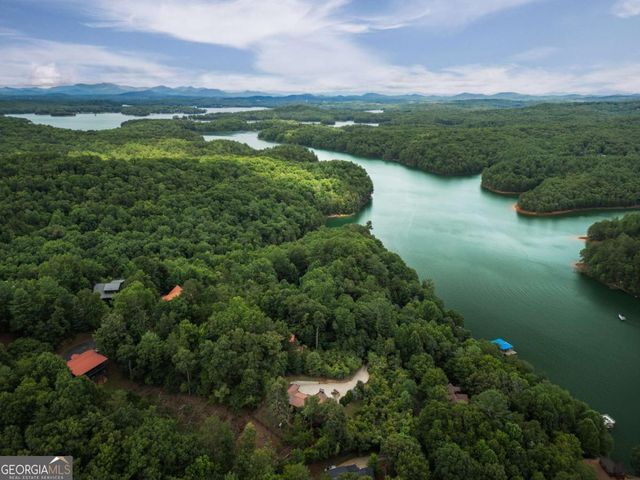 115 Necowa Cove Overlook, Blue Ridge, GA 30513