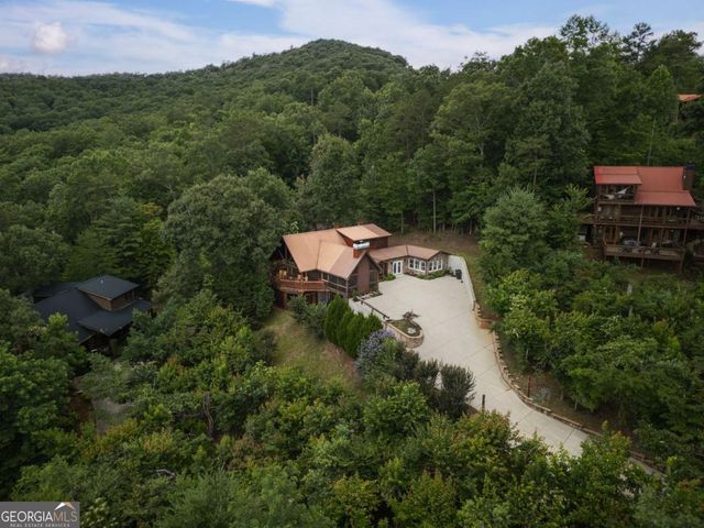 115 Necowa Cove Overlook, Blue Ridge, GA 30513