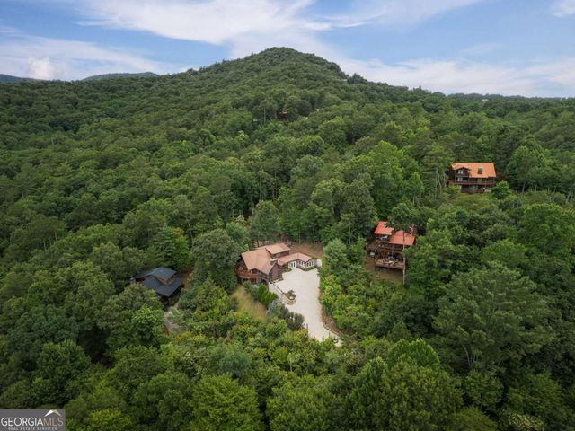 115 Necowa Cove Overlook, Blue Ridge, GA 30513