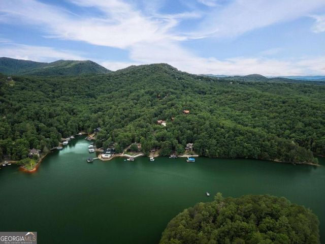 115 Necowa Cove Overlook, Blue Ridge, GA 30513