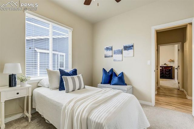 5849 Brave Eagle Drive, Colorado Springs, CO 80924