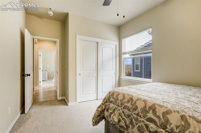 5849 Brave Eagle Drive, Colorado Springs, CO 80924