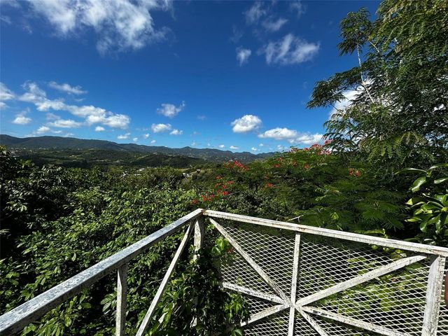 171, km 2.1 BO. RINCON, Cidra, PR 00739