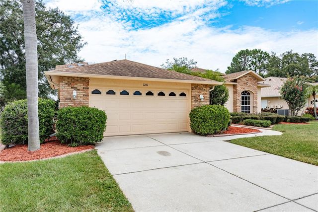 1251 RAMBLING VINE COURT, Trinity, FL 34655