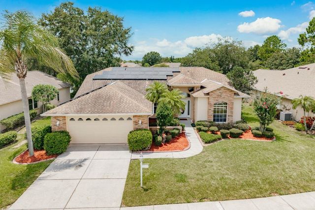 1251 RAMBLING VINE COURT, Trinity, FL 34655