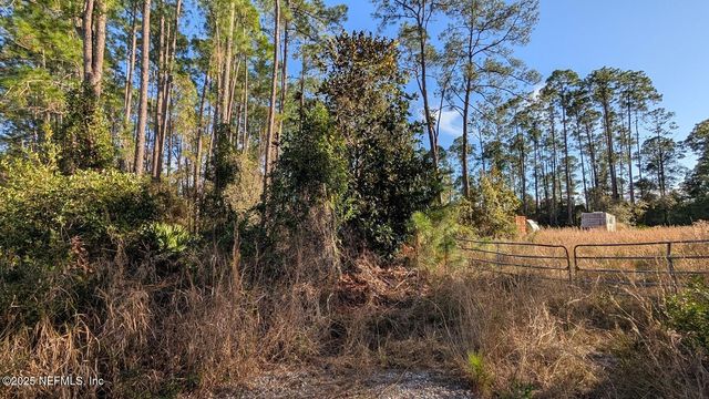 113 WHITE PINE Lane, Georgetown, FL 32139