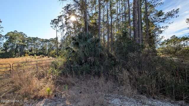 113 WHITE PINE Lane, Georgetown, FL 32139