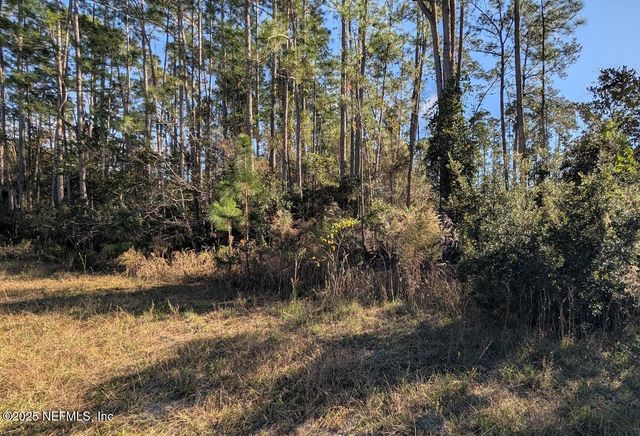 113 WHITE PINE Lane, Georgetown, FL 32139