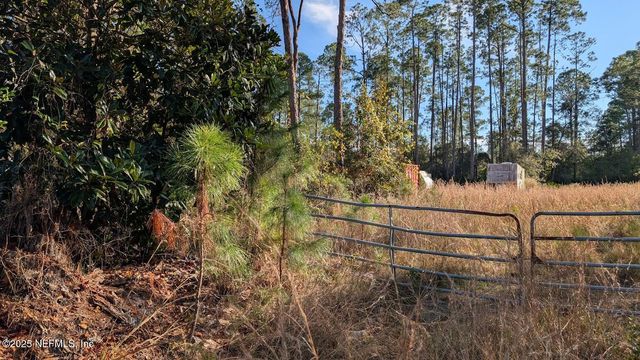 113 WHITE PINE Lane, Georgetown, FL 32139