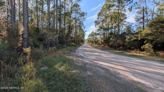113 WHITE PINE Lane, Georgetown, FL 32139