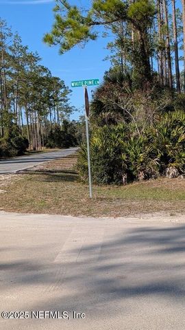 113 WHITE PINE Lane, Georgetown, FL 32139