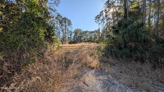 113 WHITE PINE Lane, Georgetown, FL 32139