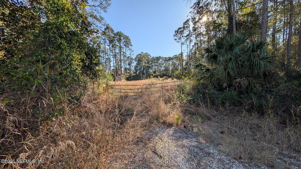 113 WHITE PINE Lane, Georgetown, FL 32139