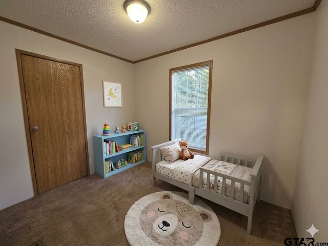 21587 Ravenwood Drive, Chandler, TX 75758