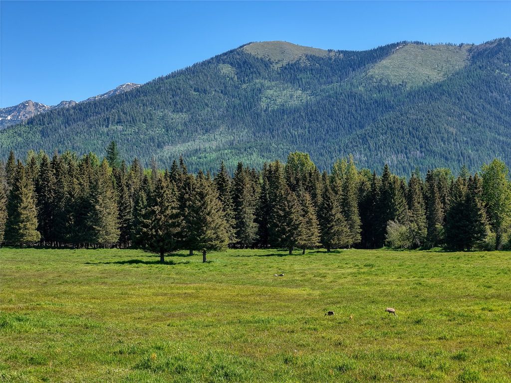 190 Black Bear Lane, Bigfork, MT 59911 photo 154