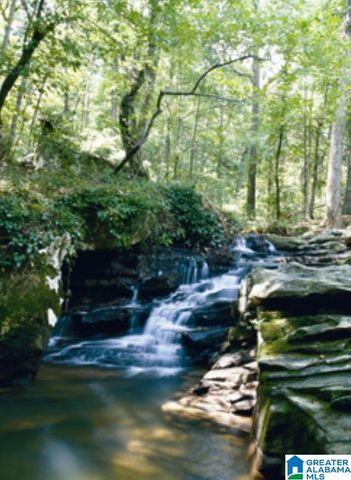 000622 PRESERVE WAY, Hoover, AL 35226