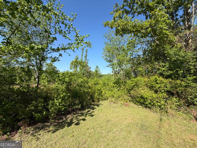 23675 GA HWY 100, Franklin, GA 30217