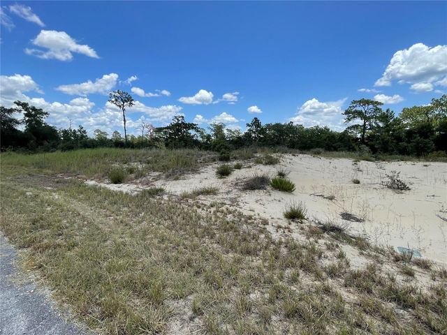 1342 HOMOSASSA COURT, Poinciana, FL 34759