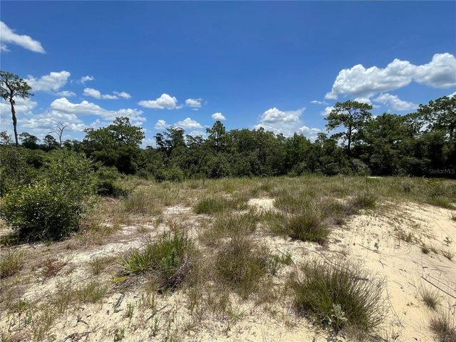 1342 HOMOSASSA COURT, Poinciana, FL 34759