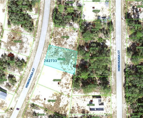 1342 HOMOSASSA COURT, Poinciana, FL 34759