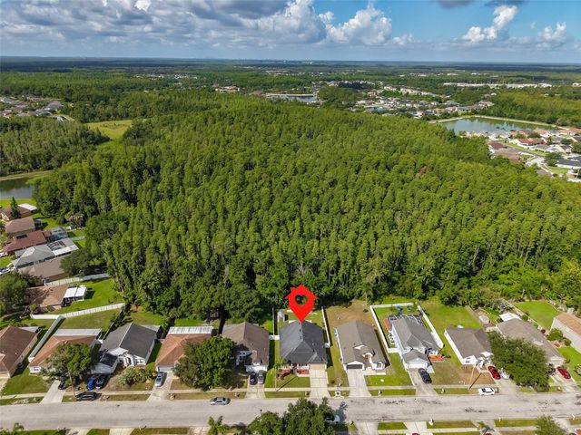 1147 TIMBER TRACE DRIVE, Wesley Chapel, FL 33543