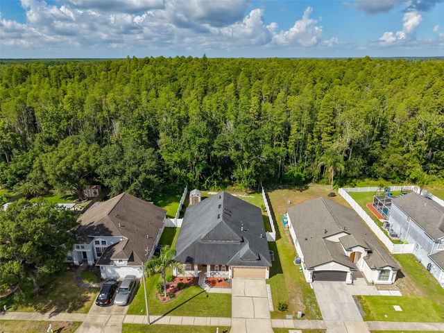 1147 TIMBER TRACE DRIVE, Wesley Chapel, FL 33543