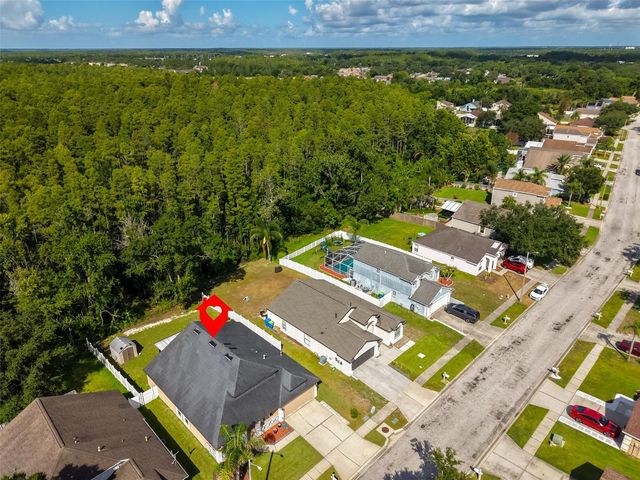 1147 TIMBER TRACE DRIVE, Wesley Chapel, FL 33543