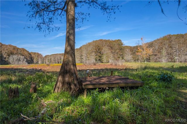 10631 E Lucas Trail, Inverness, FL 34450