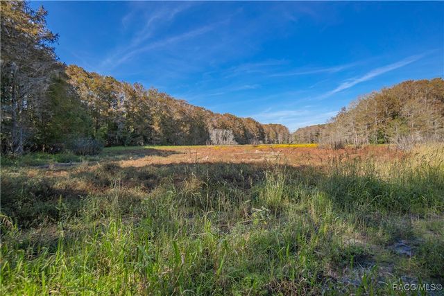 10631 E Lucas Trail, Inverness, FL 34450