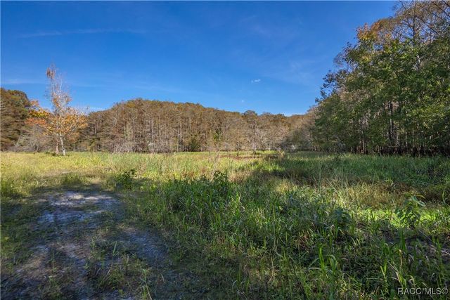 10631 E Lucas Trail, Inverness, FL 34450