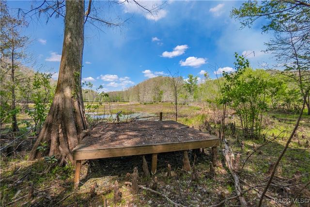 10631 E Lucas Trail, Inverness, FL 34450