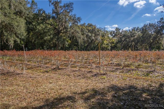 10631 E Lucas Trail, Inverness, FL 34450