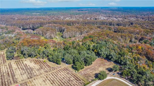 10631 E Lucas Trail, Inverness, FL 34450