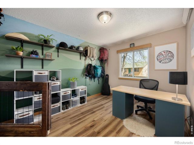 811 Table Mountain Court, Windsor, CO 80550