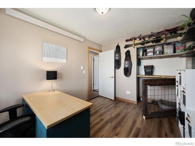 811 Table Mountain Court, Windsor, CO 80550