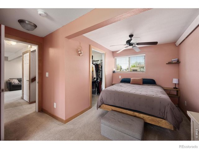 811 Table Mountain Court, Windsor, CO 80550