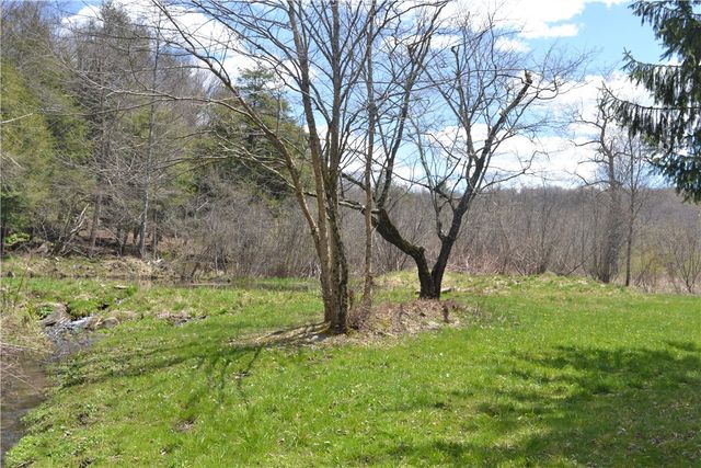 144 Bonnie Brook Road, Hancock, NY 12776