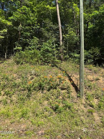 23 Walden Ridge Road, Sevierville, TN 37862