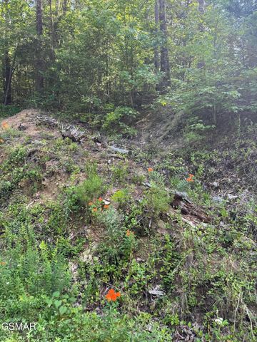 23 Walden Ridge Road, Sevierville, TN 37862