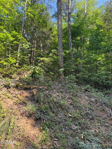 23 Walden Ridge Road, Sevierville, TN 37862